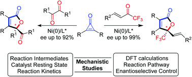 Graphical abstract: Mechanistic studies on nickel-catalyzed enantioselective [3 + 2] annulation for γ-butenolide synthesis via C–C activation of diarylcyclopropenones