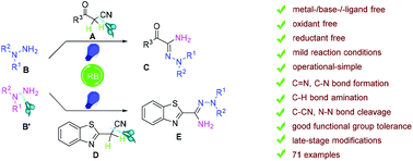 Graphical abstract: Photocatalyzed intermolecular amination for the synthesis of hydrazonamides