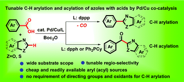 Graphical abstract: Tunable C–H arylation and acylation of azoles with carboxylic acids by Pd/Cu cooperative catalysis