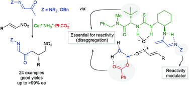 Graphical abstract: α-Keto hydrazones in asymmetric aminocatalysis: reactivity through β-amino aza-dienamine intermediates
