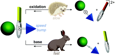 Graphical abstract: Dual-stimuli pseudorotaxane switches under kinetic control