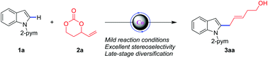 Graphical abstract: Co(iii)-Catalyzed stereospecific synthesis of (E)-homoallylic alcohols with 4-vinyl-1,3-dioxan-2-ones: late-stage C–H homoallylation of indole derivatives