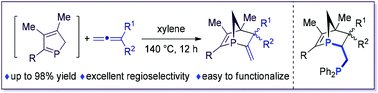 Graphical abstract: Hetero-Diels–Alder reactions of 2H-phospholes with allenes: synthesis and functionalization of 6-methylene-1-phosphanorbornenes