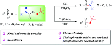 Graphical abstract: Tunable synthesis of chalcophosphinic amides and tertiary phosphinates using tert-butyl N,N-dialkylperoxyamidate