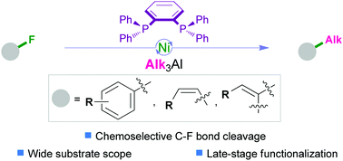 Graphical abstract: Nickel-catalyzed defluorinative alkylation of C(sp2)–F bonds