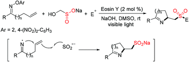 Graphical abstract: Iminyl radical initiated sulfonylation of alkenes with rongalite under photoredox conditions