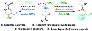 Graphical abstract: Visible-light-induced iodine-anion-catalyzed decarboxylative/deaminative C–H alkylation of enamides