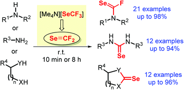 Graphical abstract: Facile synthesis of selenocarbamyl fluorides, selenoureas and their derivatives with [Me4N][SeCF3]