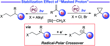 Graphical abstract: Application of the stabilization effect of a silyl group in radical-polar crossover reactions enabled by photoredox-neutral catalysis