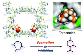 Graphical abstract: Site-selective binding of terpenoids within a confined space of metal–macrocycle framework: substrate-specific promotion or inhibition of cyclization reactions