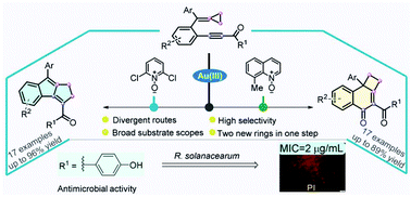 Graphical abstract: Gold(iii)-catalyzed bicyclizations of alkylidenecyclopropane-tethered ynones for divergent synthesis of indene and naphthalenone-based polycycles