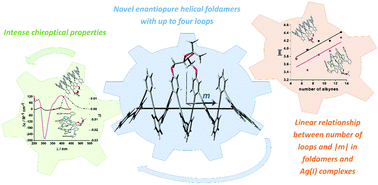 Graphical abstract: Extended enantiopure ortho-phenylene ethylene (o-OPE)-based helical systems as scaffolds for supramolecular architectures: a study of chiroptical response and its connection to the CISS effect