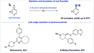 Graphical abstract: Iron-catalyzed C–F bond silylation and borylation of fluoroarenes
