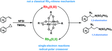 Graphical abstract: Dirhodium(ii)-catalyzed diamination reaction via a free radical pathway