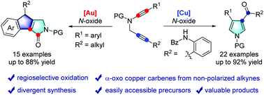 Graphical abstract: Cu(i)- and Au(i)-catalyzed regioselective oxidation of diynes: divergent synthesis of N-heterocycles