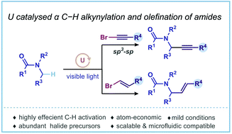 Graphical abstract: Uranyl-catalysed C–H alkynylation and olefination