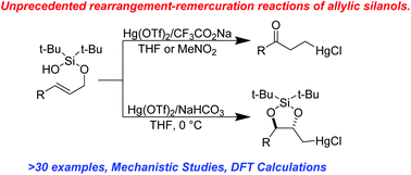 Graphical abstract: Unusual rearrangement–remercuration reactions of allylic silanols