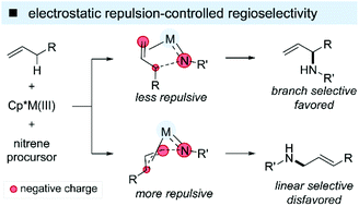 Graphical abstract: Electrostatic repulsion-controlled regioselectivity in nitrene-mediated allylic C–H amidations