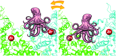 Graphical abstract: Multivalent resorcinarene clusters decorated with DAB-1 inhitopes: targeting Golgi α-mannosidase from Drosophila melanogaster