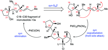Graphical abstract: Synthesis of the C19–C30 bis-THF fragment of iriomoteolide-13a via stepwise SN2 cyclization and intramolecular syn-oxypalladation