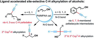 Graphical abstract: Ligand-accelerated site-selective Csp2–H and Csp3–H alkynylations of alcohols via Pd(ii) catalysis