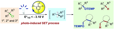 Graphical abstract: Phenolate anion-catalyzed direct activation of inert alkyl chlorides driven by visible light