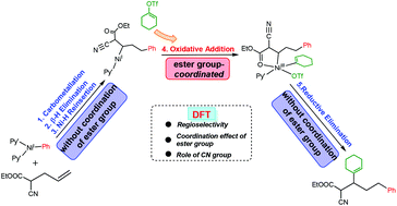 Graphical abstract: Mechanisms and origins of regioselectivities of nickel-catalyzed β,δ-vinylarylation of alkenyl esters with vinyl triflates and arylzinc reagents