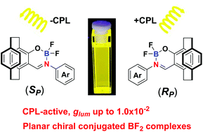 Graphical abstract: Planar chiral boron difluoride complexes showing circularly polarized luminescence