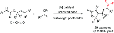 Graphical abstract: Amidyl radical-mediated aminodifluoroallylation of alkenes via photoredox catalysis