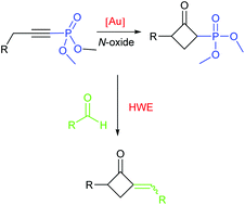 Graphical abstract: Gold-catalysed synthesis of phosphonate-substituted oxetan-3-ones – an easy access to highly strained HWE reagents