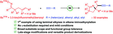 Graphical abstract: Ni-Catalyzed direct iminoalkynylation of unactivated olefins with terminal alkynes: facile access to alkyne-labelled pyrrolines