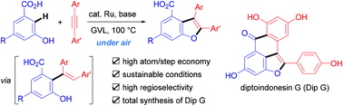 Graphical abstract: Synthesis of functionalized diarylbenzofurans via Ru-catalyzed C–H activation and cyclization under air: rapid access to the polycyclic scaffold of diptoindonesin G