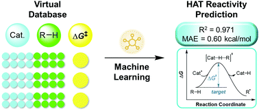 Graphical abstract: Machine learning prediction of hydrogen atom transfer reactivity in photoredox-mediated C–H functionalization