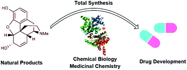 Graphical abstract: A brief overview of classical natural product drug synthesis and bioactivity