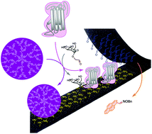 Graphical abstract: 1D alignment of proteins and other nanoparticles by using reversible covalent bonds on cyclic peptide nanotubes