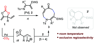 Graphical abstract: Access to azonanes via Pd-catalyzed decarboxylative [5 + 4] cycloaddition with exclusive regioselectivity