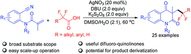 Graphical abstract: Silver-catalyzed decarboxylative radical relay difluoroalkylation–carbocyclization: convenient access to CF2-containing quinolinones