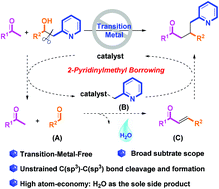 Graphical abstract: 2-Pyridinylmethyl borrowing: base-promoted C-alkylation of (pyridin-2-yl)-methyl alcohols with ketones via cleavage of unstrained C(sp3)–C(sp3) bonds
