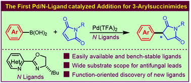 Graphical abstract: The first N-ligand assisted Pd catalyzed asymmetric synthesis of 3-arylsuccinimides as novel antifungal leads
