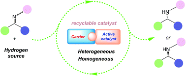 Graphical abstract: Recent advances in the asymmetric reduction of imines by recycled catalyst systems