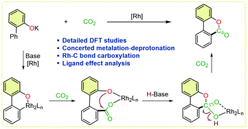 Graphical abstract: Mechanistic insights into the rhodium-catalyzed aryl C–H carboxylation
