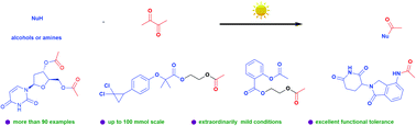 Graphical abstract: Acetylation of alcohols and amines under visible light irradiation: diacetyl as an acylation reagent and photosensitizer