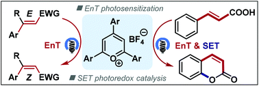 Graphical abstract: Pyrylium salts acting as both energy transfer and electron transfer photocatalysts for E → Z isomerization of activated alkenes and cyclization of cinnamic or biaryl carboxylic acids