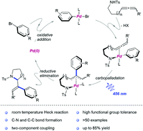 Graphical abstract: Blue light enhanced Heck arylation at room temperature applied to allenes