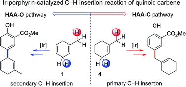 Graphical abstract: Computational insights into different regioselectivities in the Ir-porphyrin-catalyzed C–H insertion reaction of quinoid carbene