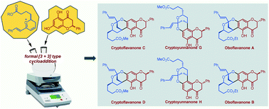 Graphical abstract: Bioinspired syntheses of cryptoflavanones C and D, oboflavanones A and B, and cryptoyunnanones G and H enabled by an acid-triggered cascade sequence