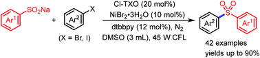 Graphical abstract: Visible-light mediated cross-coupling of aryl halides with sodium sulfinates via carbonyl-photoredox/nickel dual catalysis