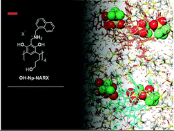 Graphical abstract: Sharing the salt bowl: counterion identity drives N-alkyl resorcinarene affinity for pyrophosphate in water