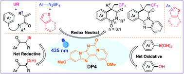 Graphical abstract: 2,11-Dimethoxyldipyridopurinone as an efficient reducing visible-light photocatalyst for organic transformations