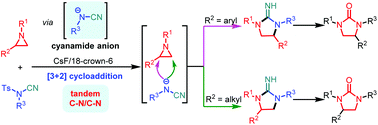 Graphical abstract: Direct synthesis of N2-unprotected five-membered cyclic guanidines by regioselective [3 + 2] annulation of aziridines and cyanamides